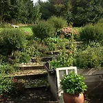 Country Horsens