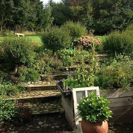 Country Horsens